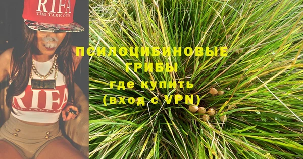 молекула духа Покачи
